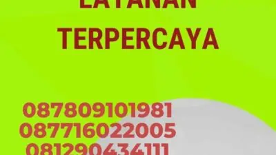 Promo Penerjemah Tersumpah Arab: Layanan Terpercaya