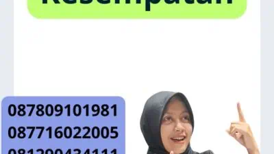 Apostille Ijazah Meningkatkan Kesempatan