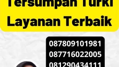 Biaya Penerjemah Tersumpah Turki Layanan Terbaik