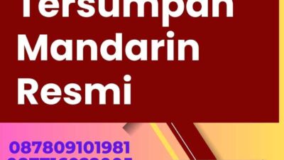 Cap Penerjemah Tersumpah Mandarin Resmi