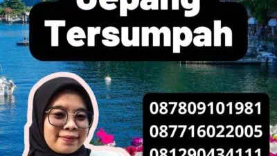 Contoh Hasil Penerjemah Jepang Tersumpah