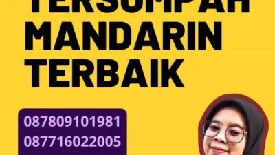 Harga Penerjemah Tersumpah Mandarin Terbaik