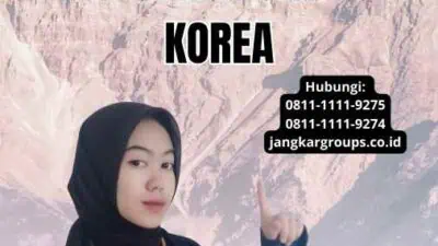 Memahami Specimen Untuk Translate Ijazah Korea