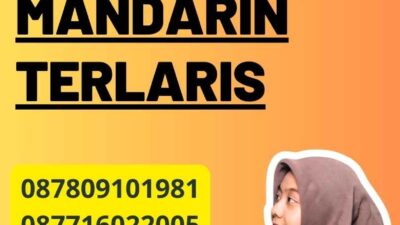 Penerjemah Tersumpah Mandarin Terlaris