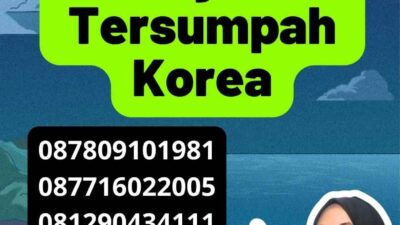 Pentingnya Jasa Penerjemah Tersumpah Korea