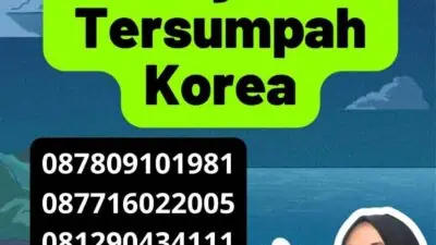 Pentingnya Jasa Penerjemah Tersumpah Korea