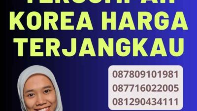 Promo Penerjemah Tersumpah Korea Harga Terjangkau