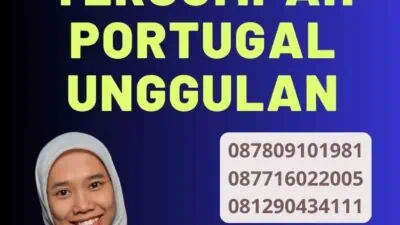 Promo Penerjemah Tersumpah Portugal Unggulan