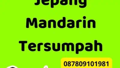 Solusi Terjemahan Jepang Mandarin Tersumpah