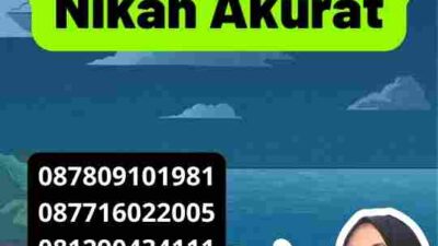 Apostille Buku Nikah Akurat