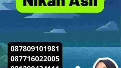 Apostille Buku Nikah Asli