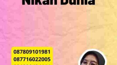 Apostille Buku Nikah Dunia
