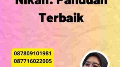 Apostille Buku Nikah: Panduan Terbaik