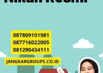 Apostille Buku Buat Nikah Resmi