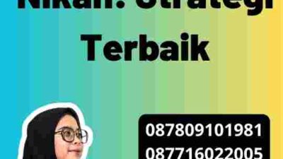 Apostille Buku Nikah: Strategi Terbaik