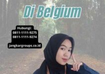 Jasa untuk Apostille Kemenkumham Belgium