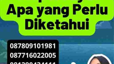 Jasa Visa Senegal Terpercaya: Apa yang Perlu Diketahui