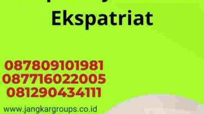 Jasa Visa Senegal Terpercaya untuk Ekspatriat