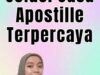 Menemukan Solusi Jasa Apostille Terpercaya