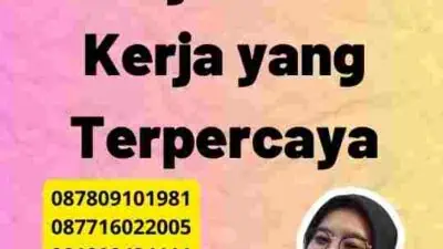 Mengamankan Pekerjaan: Visa Kerja yang Terpercaya