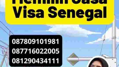 Panduan Memilih Jasa Visa Senegal