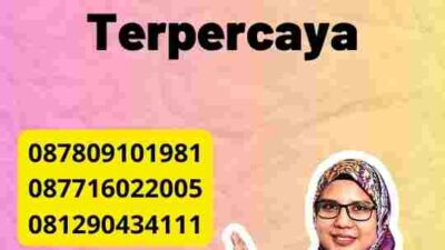 Panduan Praktis Gamca UAE: Tips Terpercaya