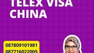 Panduan Singkat Telex Visa China