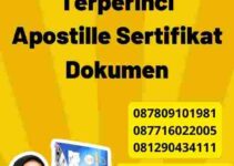 Panduan Terperinci Apostille Sertifikat Dokumen