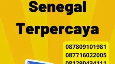 Pengalaman Jasa Visa Senegal Terpercaya