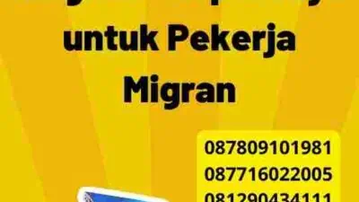 Prosedur GAMCA UAE: Langkah-langkah Terpercaya untuk Pekerja Migran