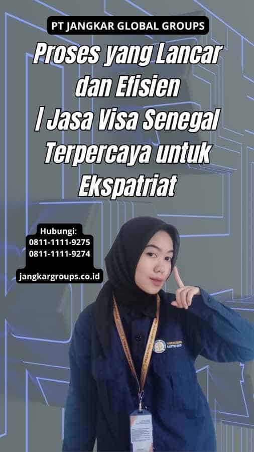 Proses yang Lancar dan Efisien Jasa Visa Senegal Terpercaya untuk Ekspatriat