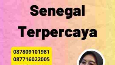 Rekomendasi Jasa Visa Senegal Terpercaya