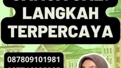 Tips Efektif Gamca UAE: Langkah Terpercaya