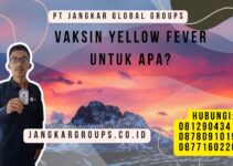 Vaksin Yellow Fever Untuk Apa?