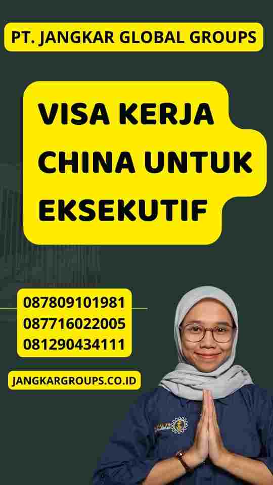 Visa Kerja China untuk Eksekutif