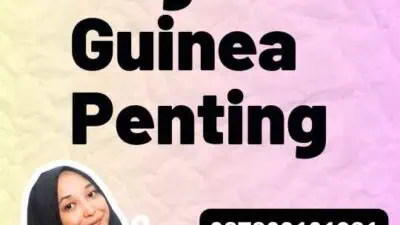 Biaya Legalisir Guinea Penting