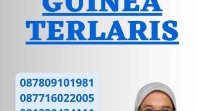 Jasa Legalisir Guinea Terlaris