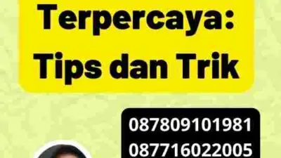 Jasa Visa Belanda Terpercaya: Tips dan Trik