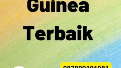 Legalisir Guinea Terbaik