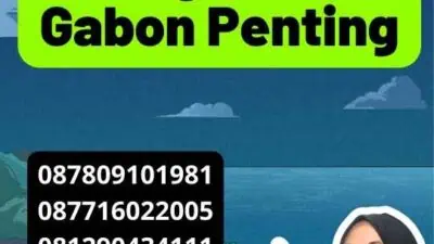 Mengapa Legalisir Gabon Penting