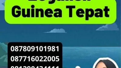 Proses Legalisir Guinea Tepat