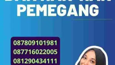 Visa Schengen dan Hak-Hak Pemegang