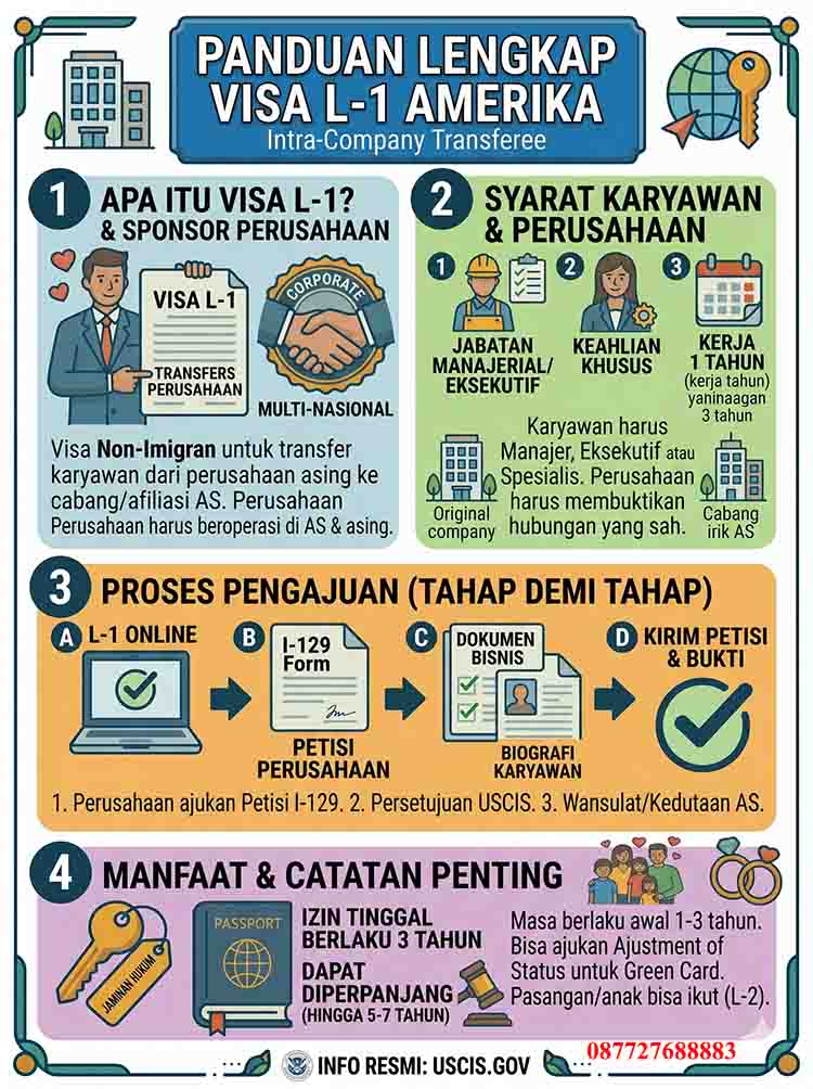 Infografis Visa L-1 Amerika
