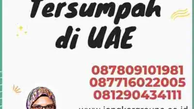 Jasa Translate Tersumpah di UAE