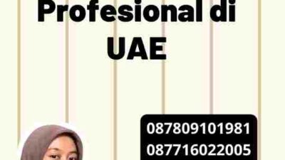 Penerjemah Profesional di UAE