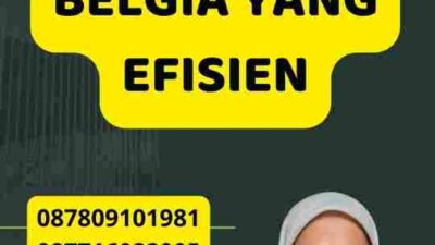 Proses Visa Belgia yang Efisien