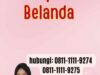 Jasa Apostille Belanda