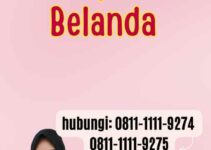 Jasa Untuk Apostille Belanda