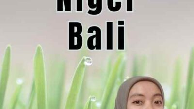 Jasa Legalisir Niger Bali