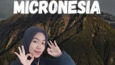 Jasa Legalisir SIM Micronesia